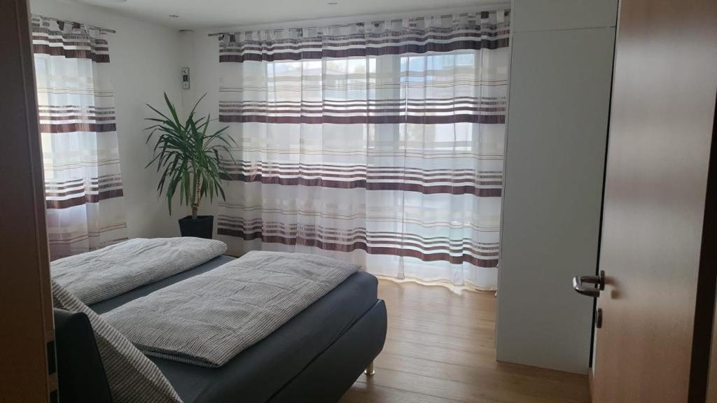 Apartment Baicu Zell Am See Zell am See Exterior foto